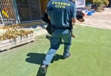 Luxus-Hundepension bei Madrid wegen mutmaßlicher Tierquälerei geschlossen